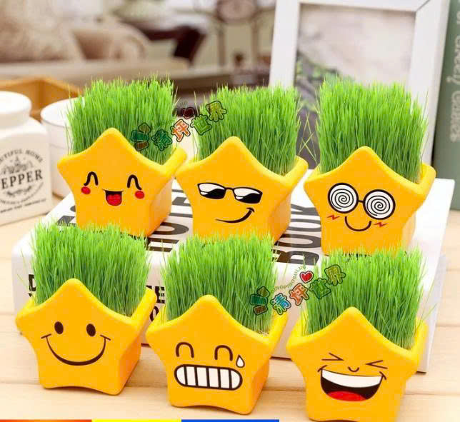 Quà handmade tặng thầy cô ngày 20/11 - chậu cây mini trang trí bàn làm việc